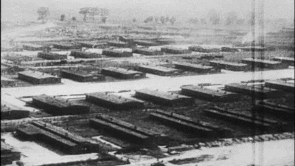 Vídeo nos 75 anos da libertação de Auschwitz pelo Exército Soviético