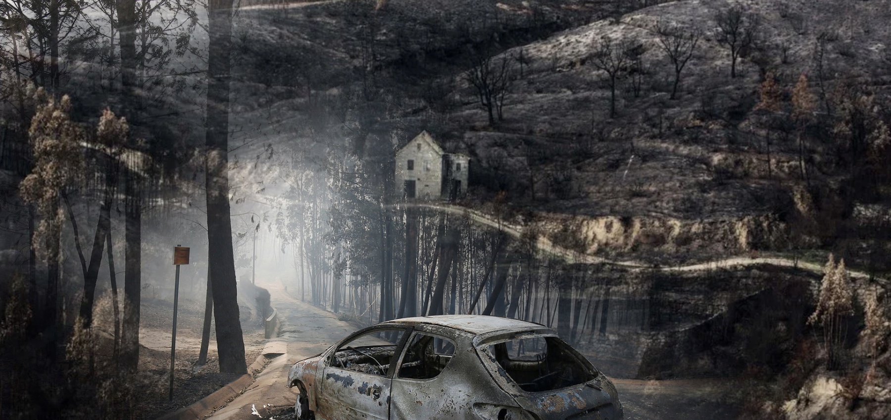 Actuação do Estado na atribuição de apoios na sequência dos incêndios de 2017 na zona do Pinhal Interior