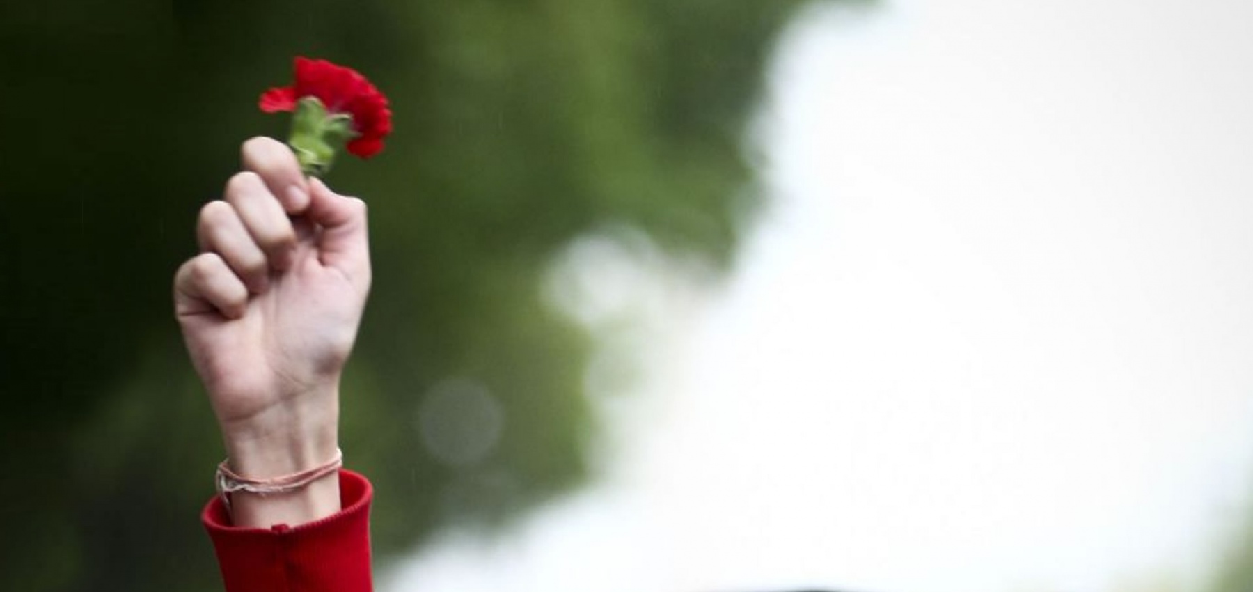 Revisão Constitucional