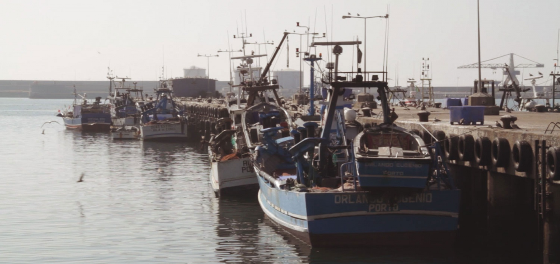 Jornadas Parlamentares do PCP no distrito do Porto