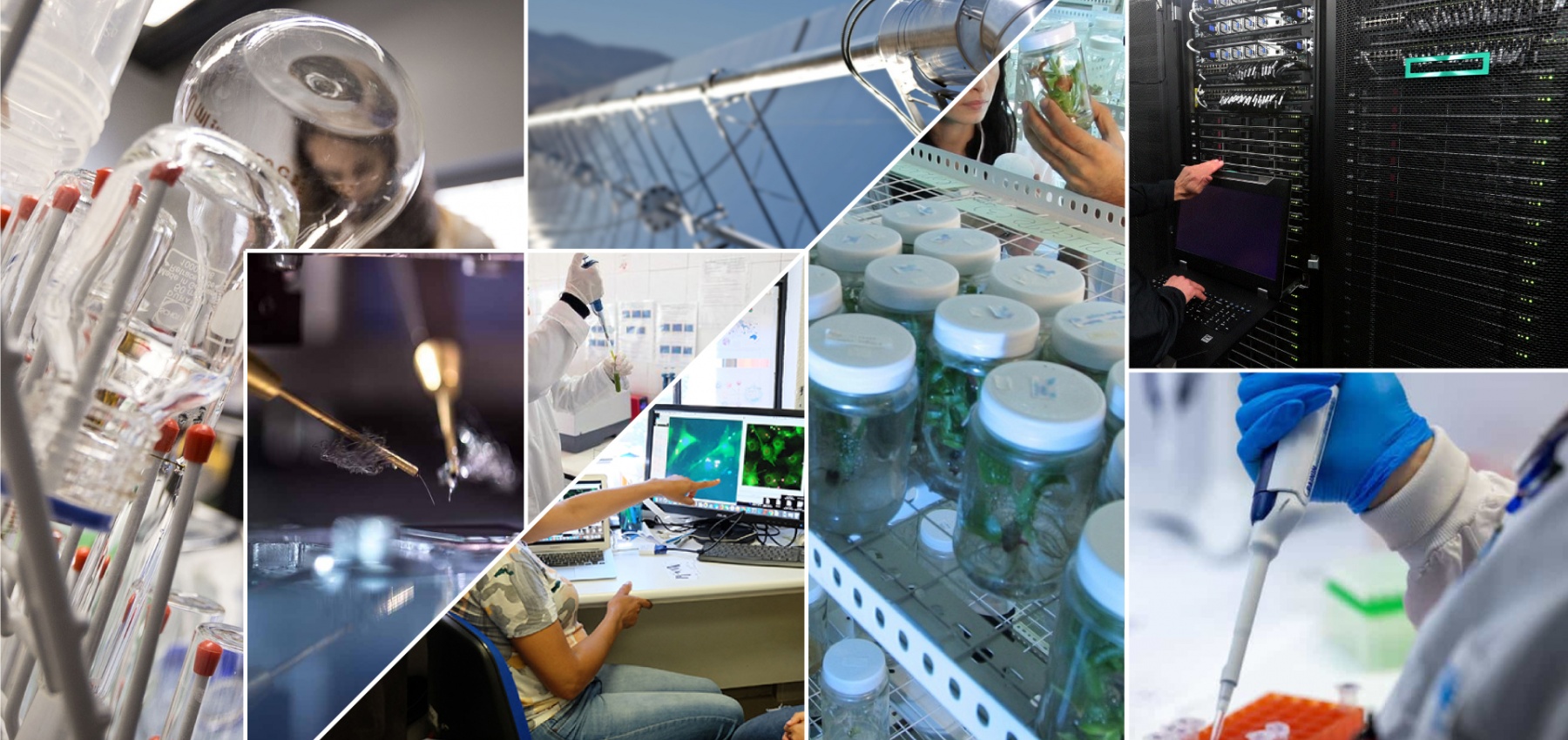 Roteiro da Ciência e Investigação