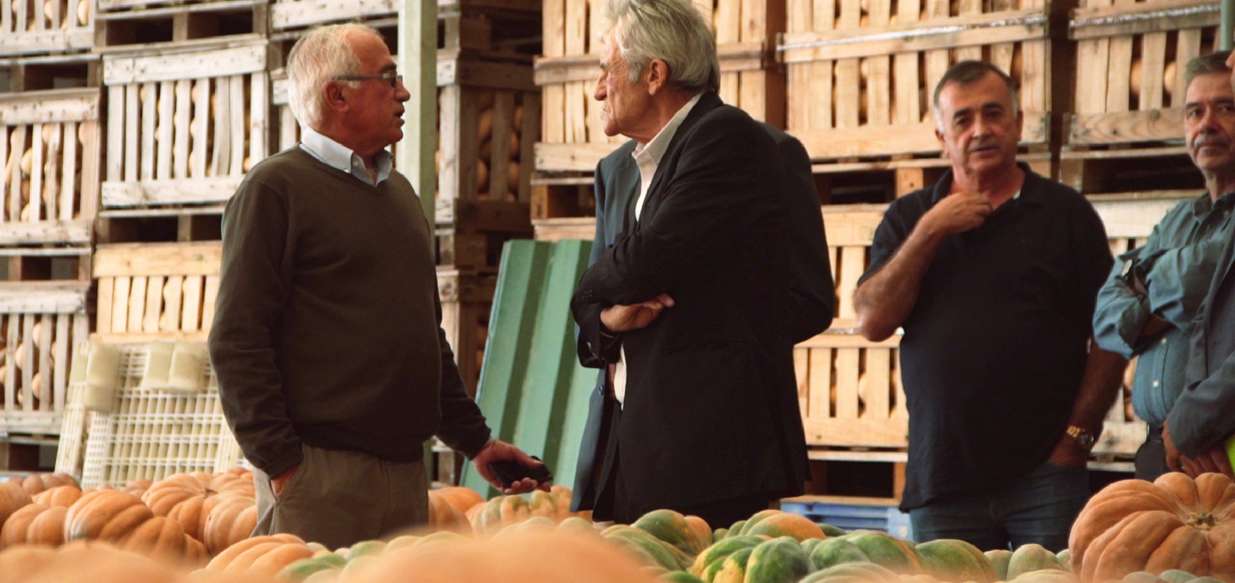 Visita a exploração agrícola e encontro com a Direcção da Louricoop Lourinhã