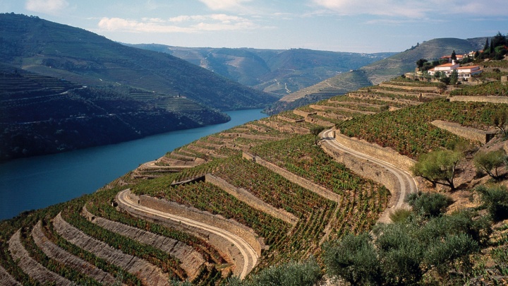 Apoios ao sector vitivinícola em Portugal