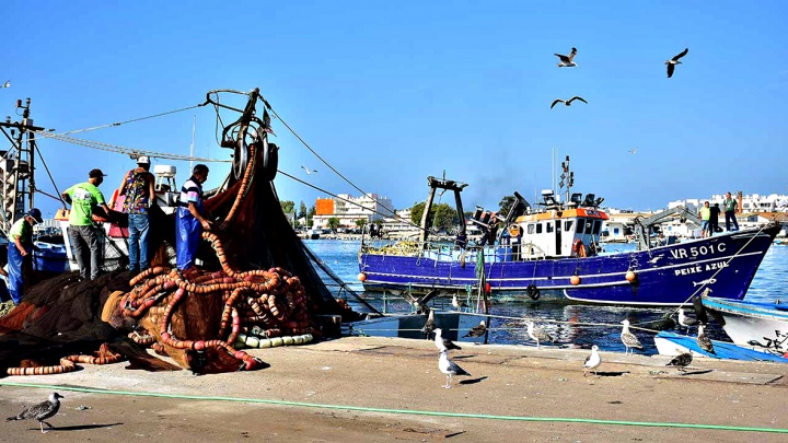 Faltam medidas de apoio aos pescadores e à pesca de pequena escala
