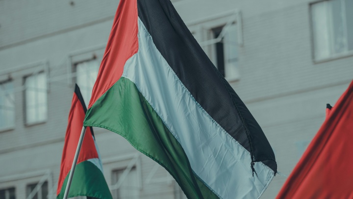 Pedido de Sessão Plenária extraordinária do Parlamento Europeu sobre a situação na  Palestina