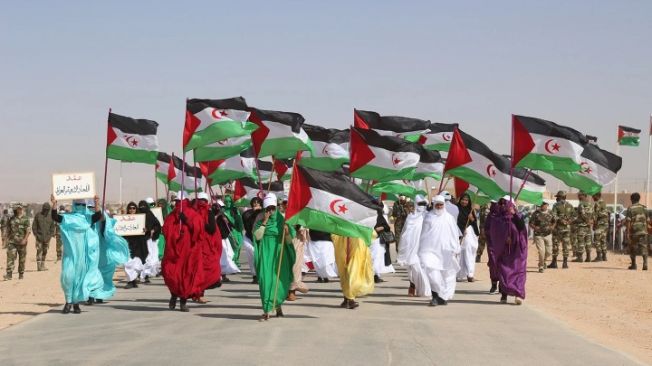 MPs from the European Parliament question the European Union on compliance with the Court of Justice's ruling on the EU's Trade Agreements with Morocco