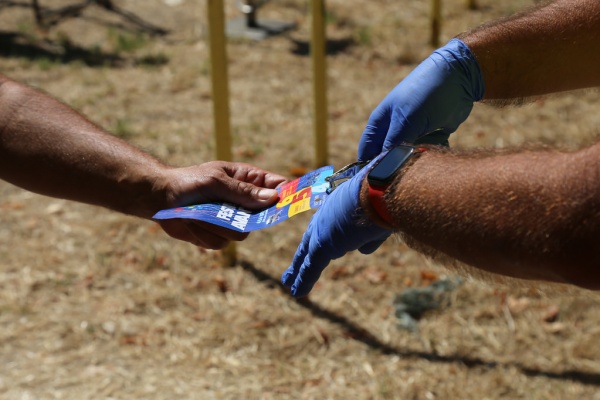 “Avante!” Festival 2020