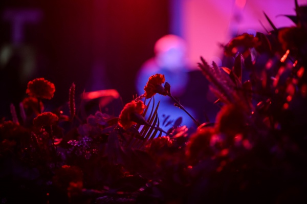 Concerto «O Povo e uma Guitarra» - Centenário de Carlos Paredes