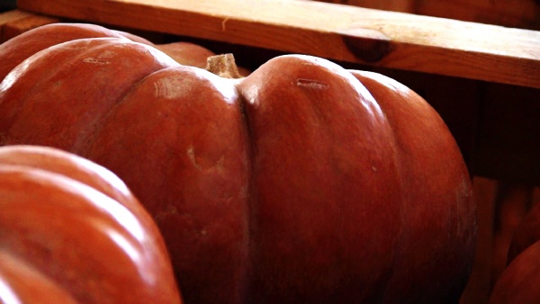 Visita a exploração agrícola e encontro com a Direcção da Louricoop Lourinhã