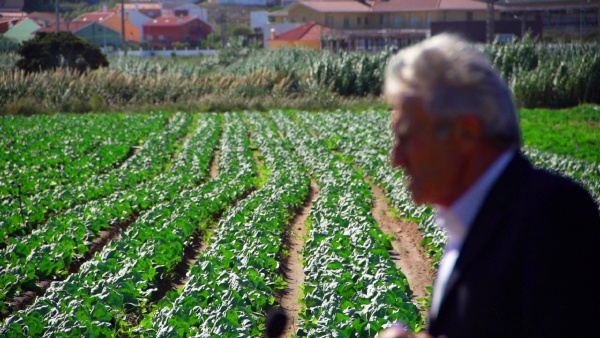 Visita a exploração agrícola e encontro com a Direcção da Louricoop Lourinhã